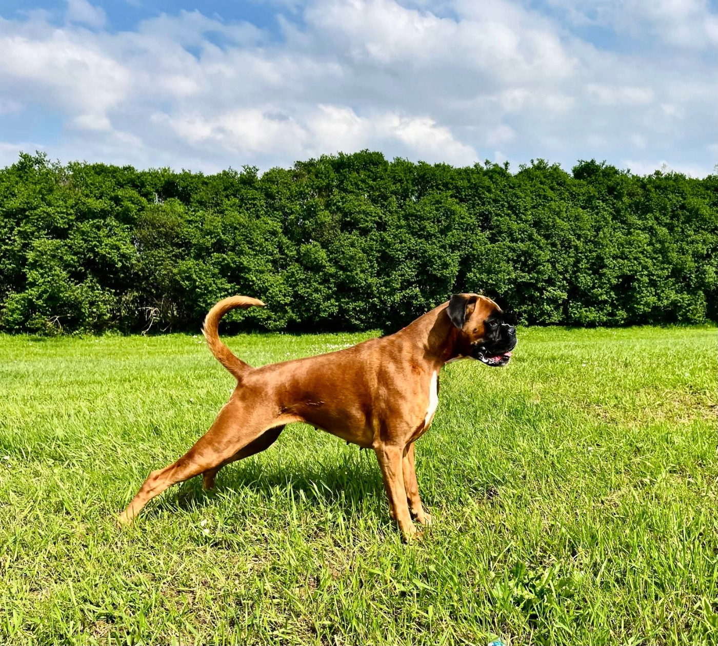 Sade du Domaine Bonne Fontaine