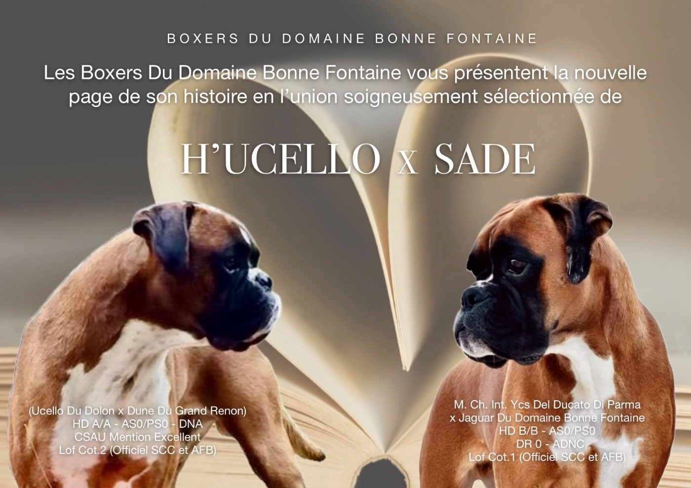 New Litter is coming soon